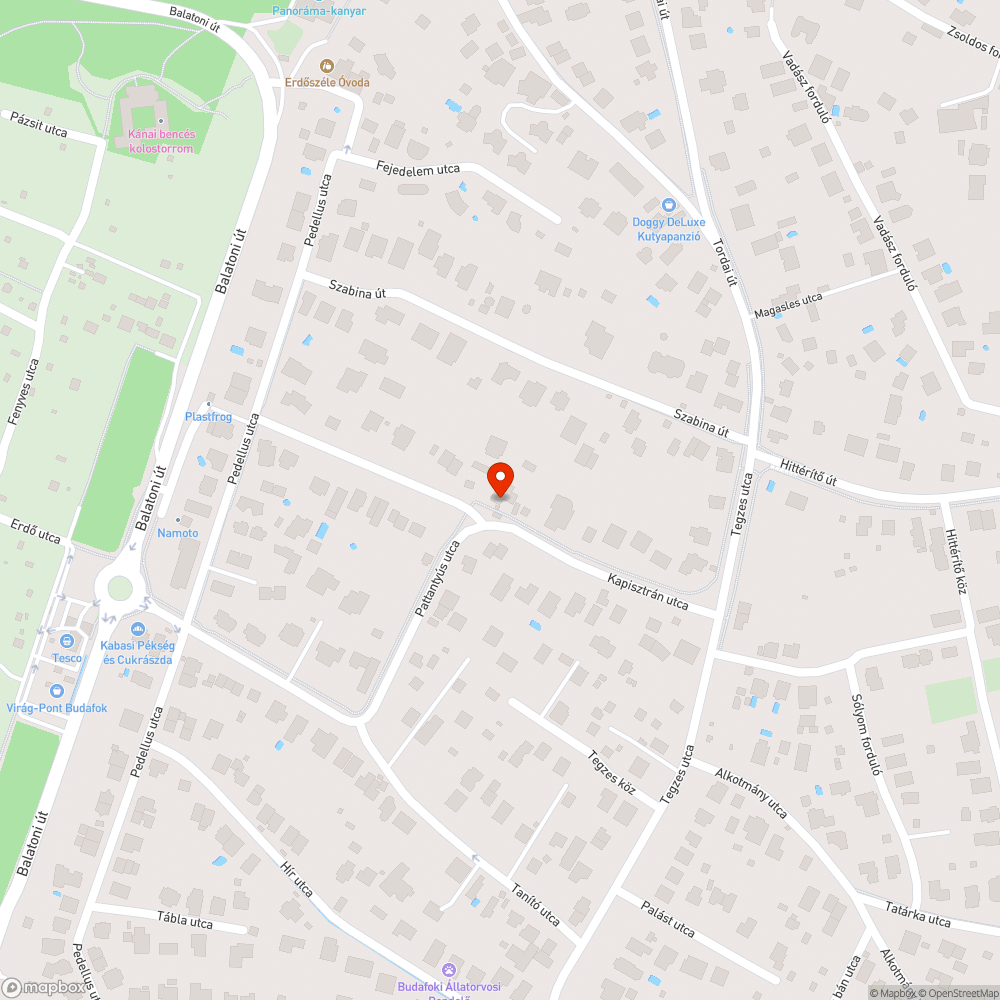 Döglött patkány bejelentés helye