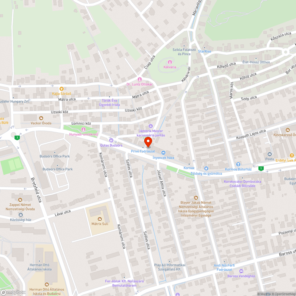 Veszélyes faágak bejelentés helye