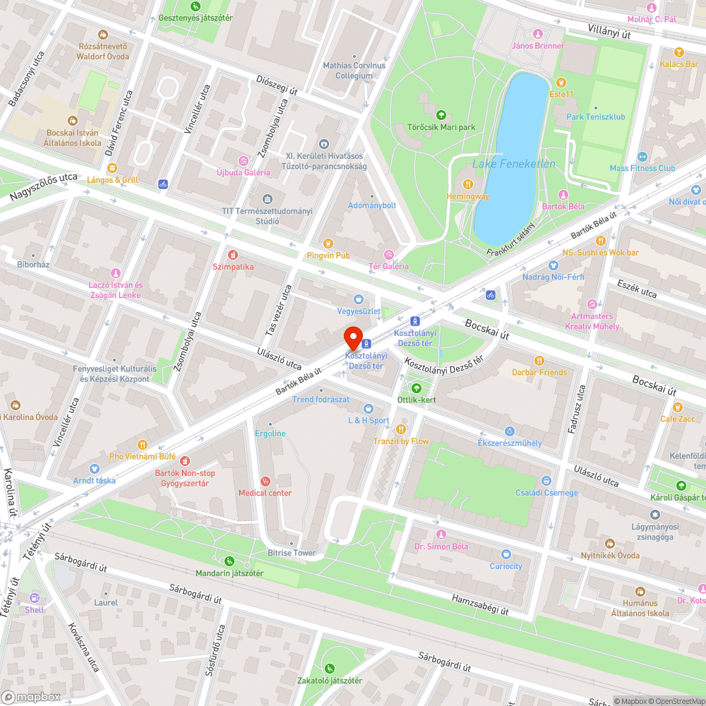 Gaz és szemét a villamossín mellett 2. bejelentés helye