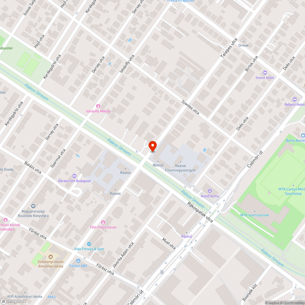 Elhagyott telekről benőtt a növényzet a járdára bejelentés helye