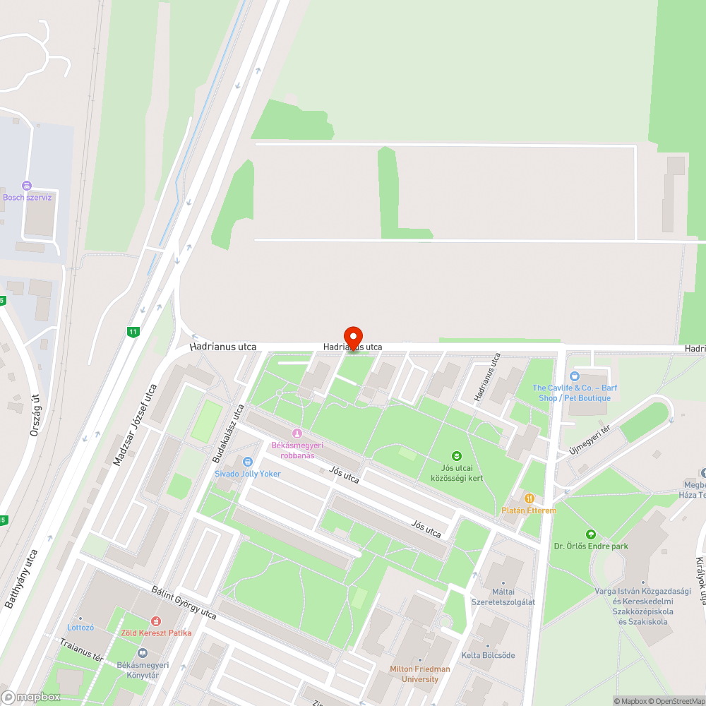 Leszakadt faág bejelentés helye