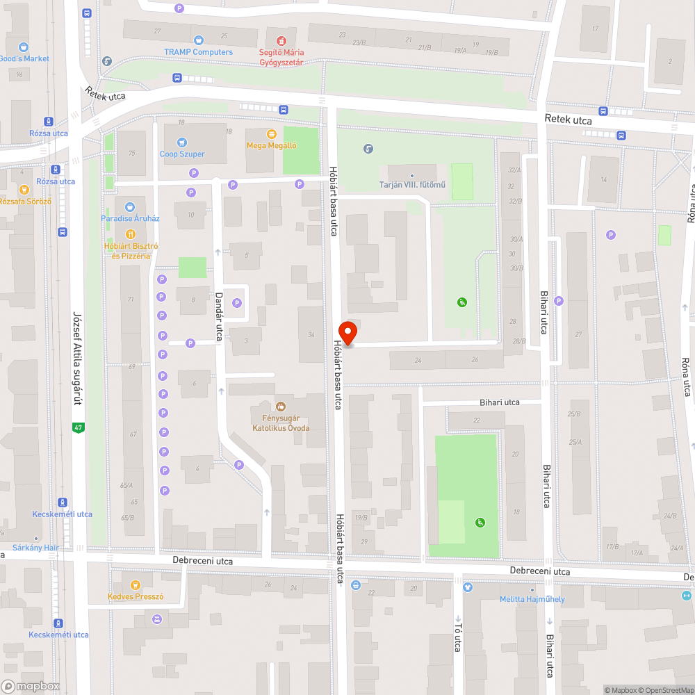 Leszakadt faág - Hóbiárt basa u. bejelentés helye