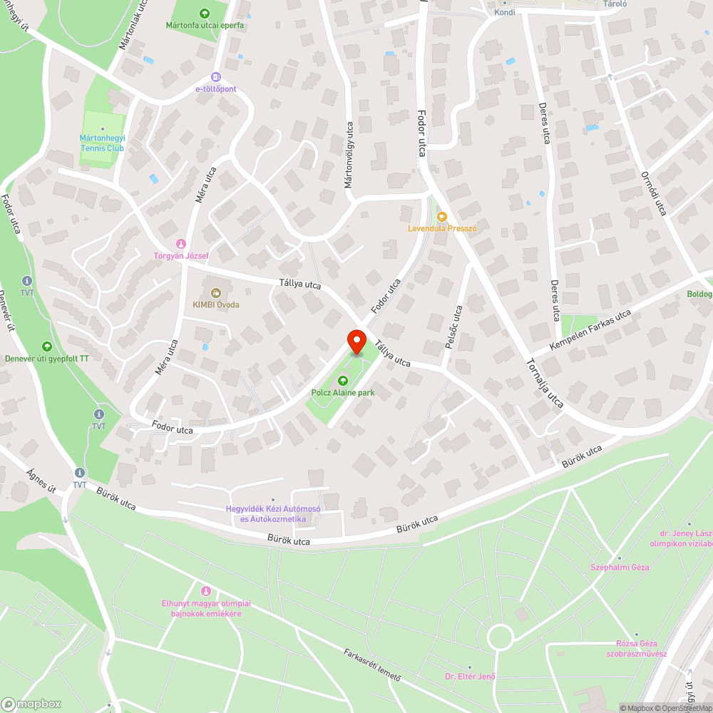 Köztéri lámpára ránőtt faág bejelentés helye