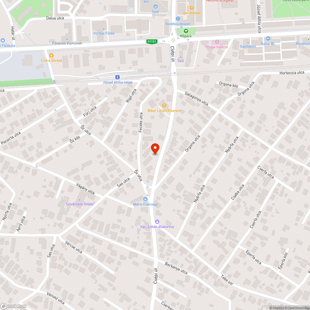 Szemét, gaz, kevés szemetes bejelentés helye