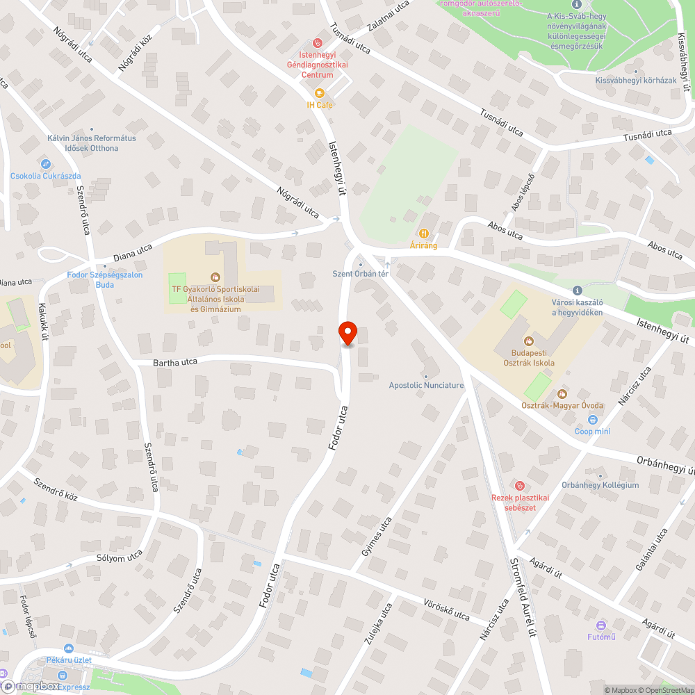 Elhagyott autó bejelentés helye