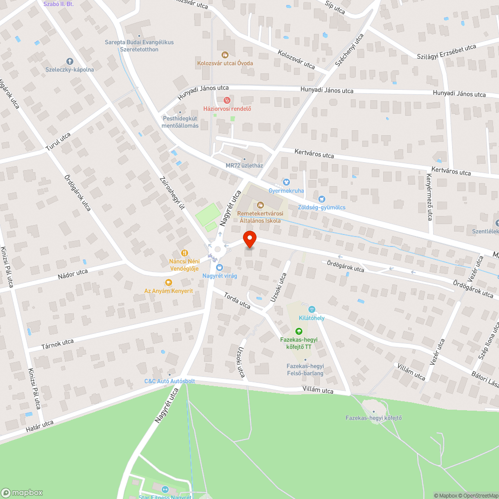 Kerékpárútra erősen belógó növényzet bejelentés helye