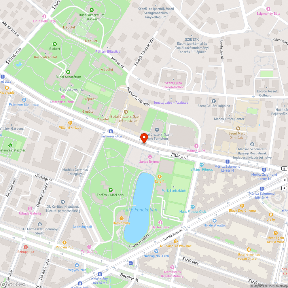 autógumi bejelentés helye