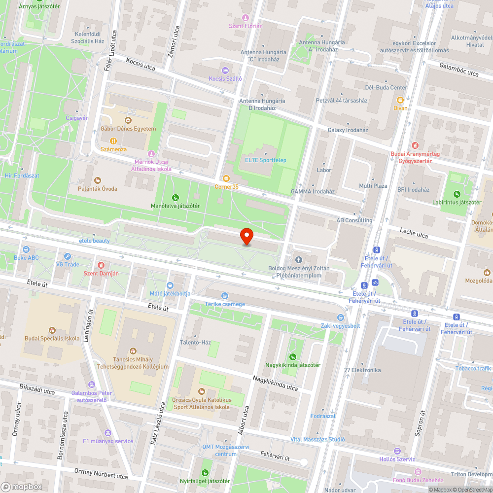 elpusztult fa az Etele út 19. előtt bejelentés helye