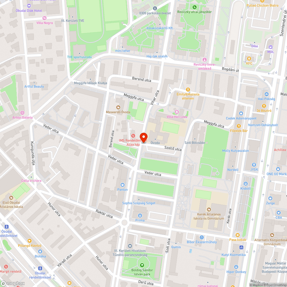 Letört faág - Vihar utca / Szellő utca sarok bejelentés helye