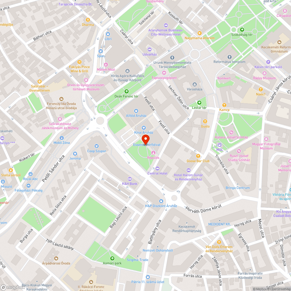 Elhanyagolt virágos láda a Kisfaludy utcán bejelentés helye