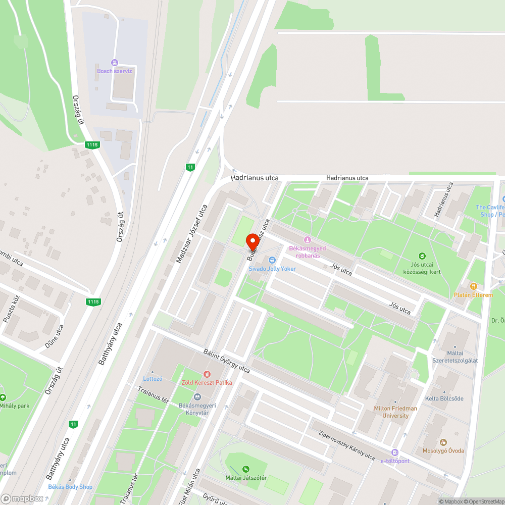 Rossz állapotú fa bejelentés helye