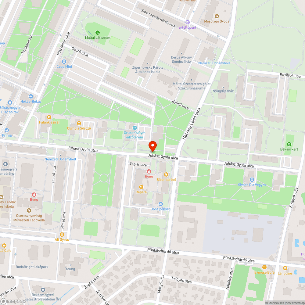 Elhullott galamb bejelentés helye