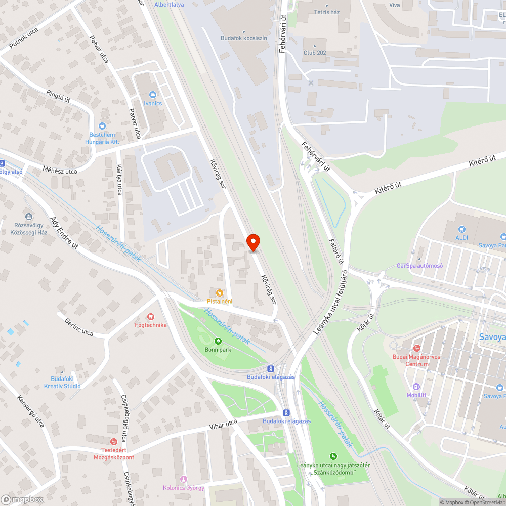 Invazív növény táblát takar ki bejelentés helye