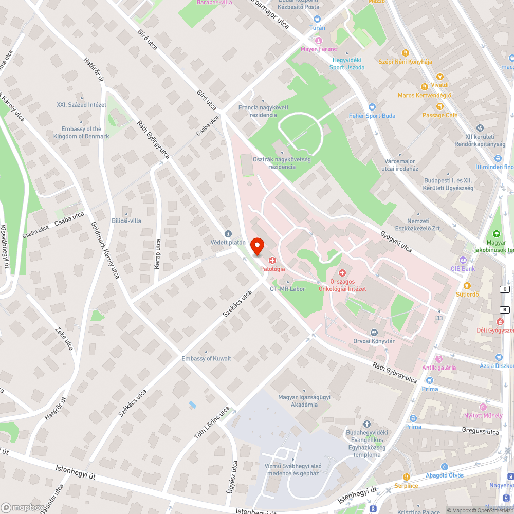 Fél fa kidőlt, blokkolja a járdát bejelentés helye