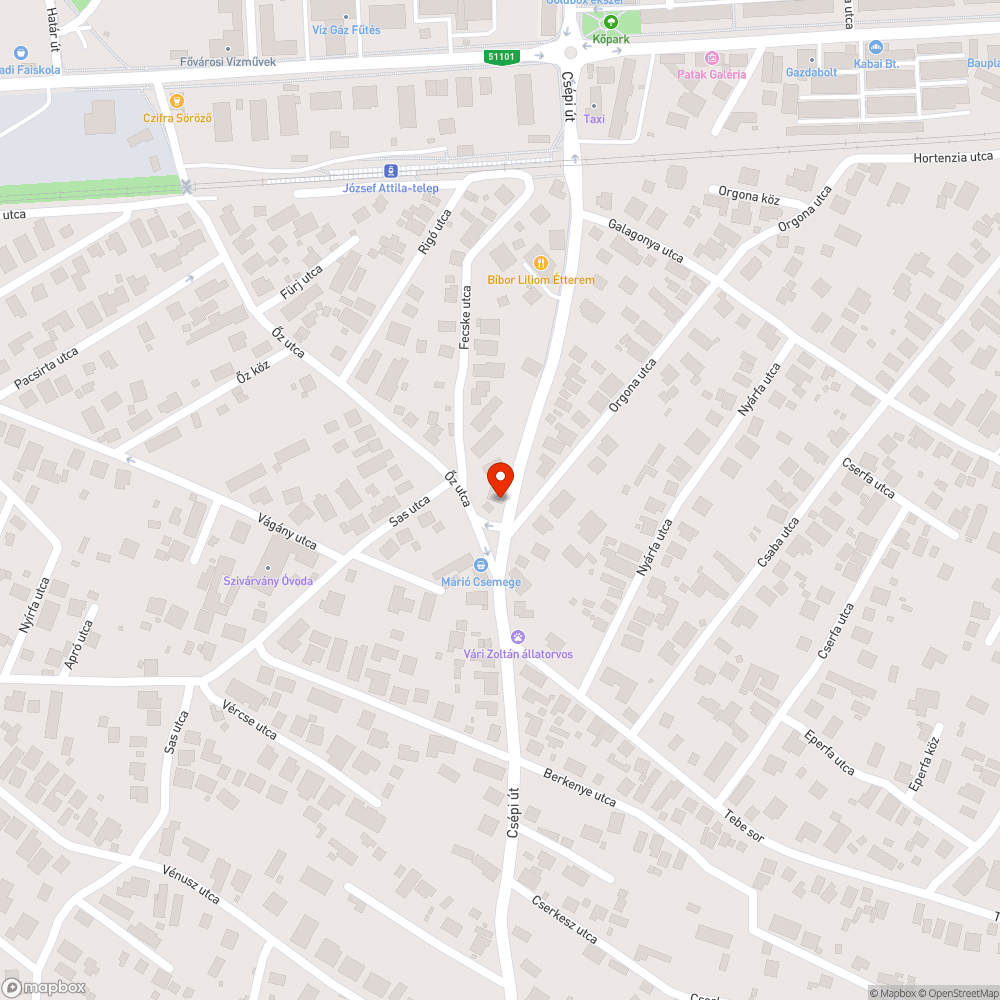 Gaz a járdán bejelentés helye