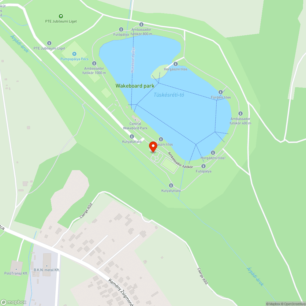 Darázsfészek(?) a kukánál bejelentés helye