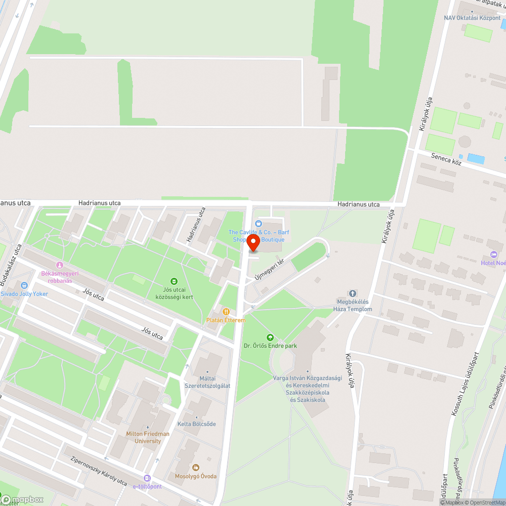 Kutyaszar bejelentés helye