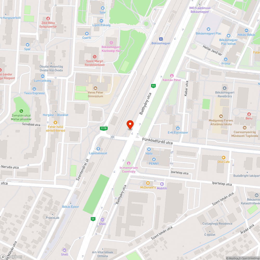 Leszakadt faág zöldterületen bejelentés helye