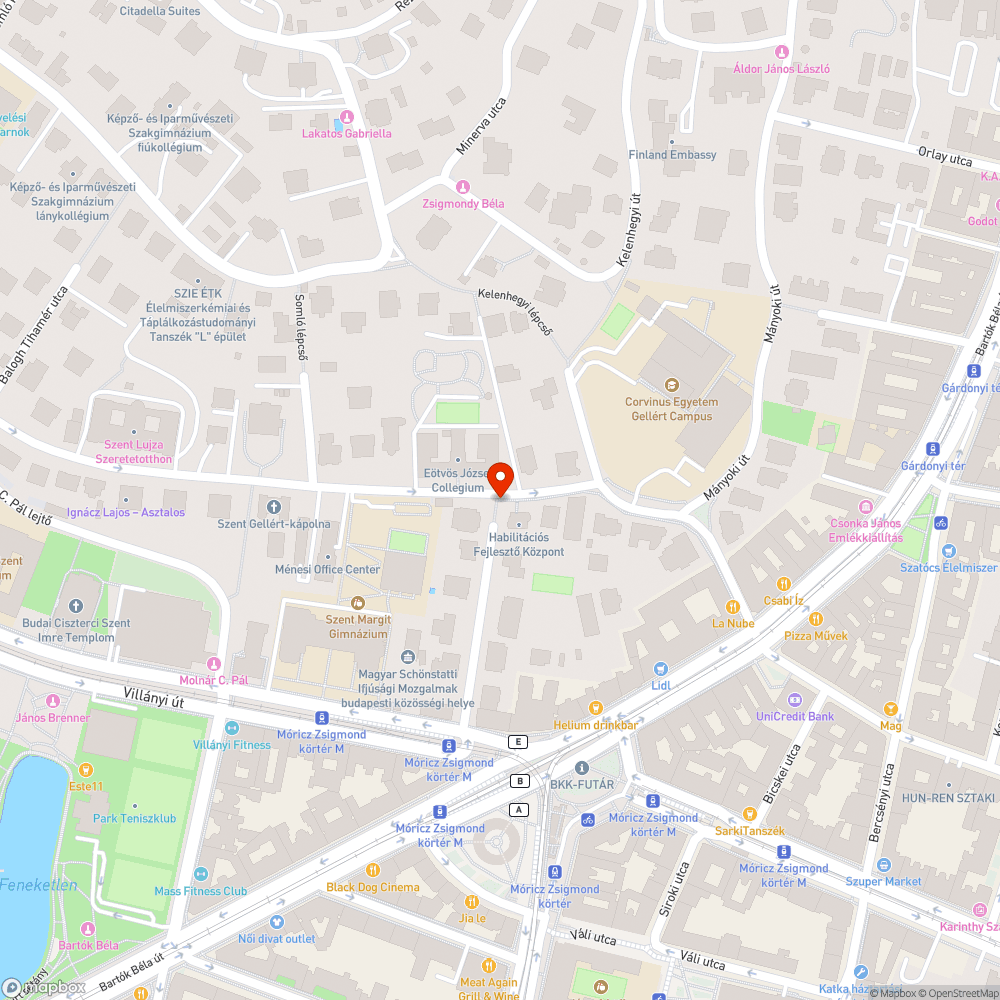 Kidöntött szemetes bejelentés helye