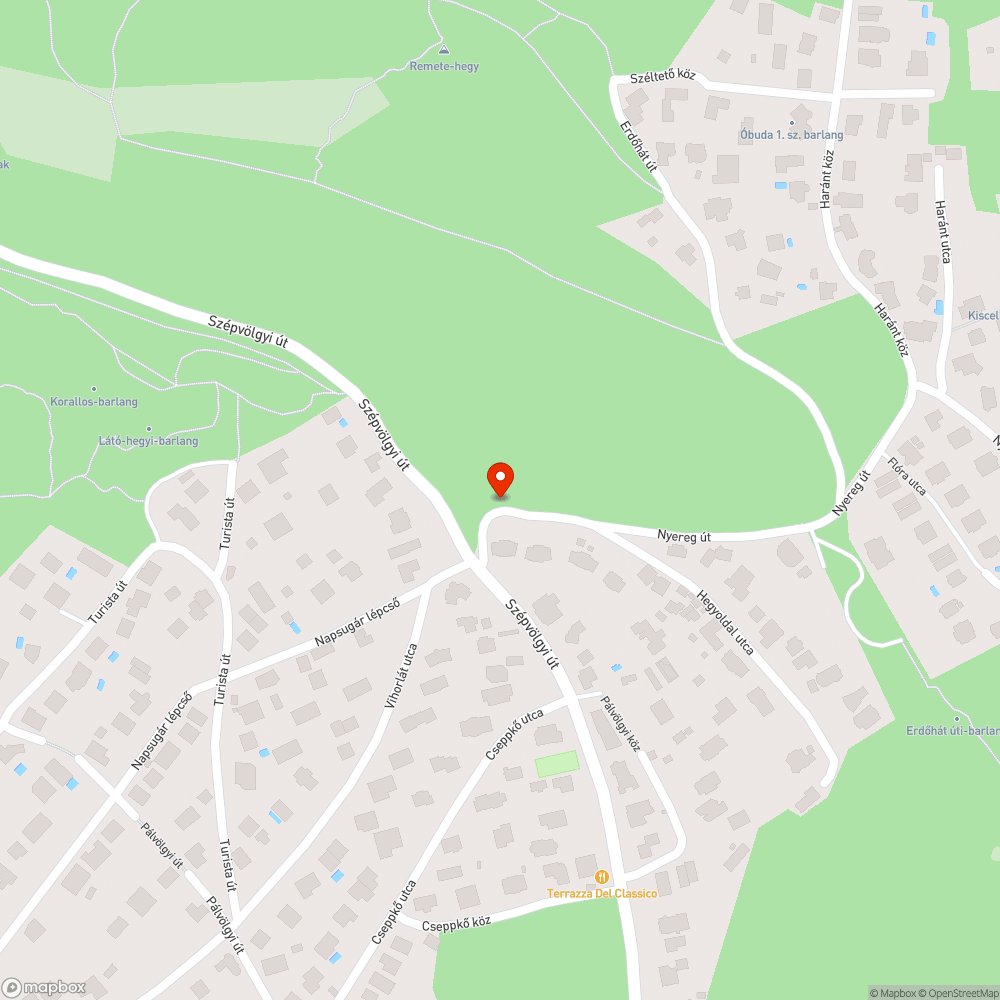 Hordalék és ágak bejelentés helye