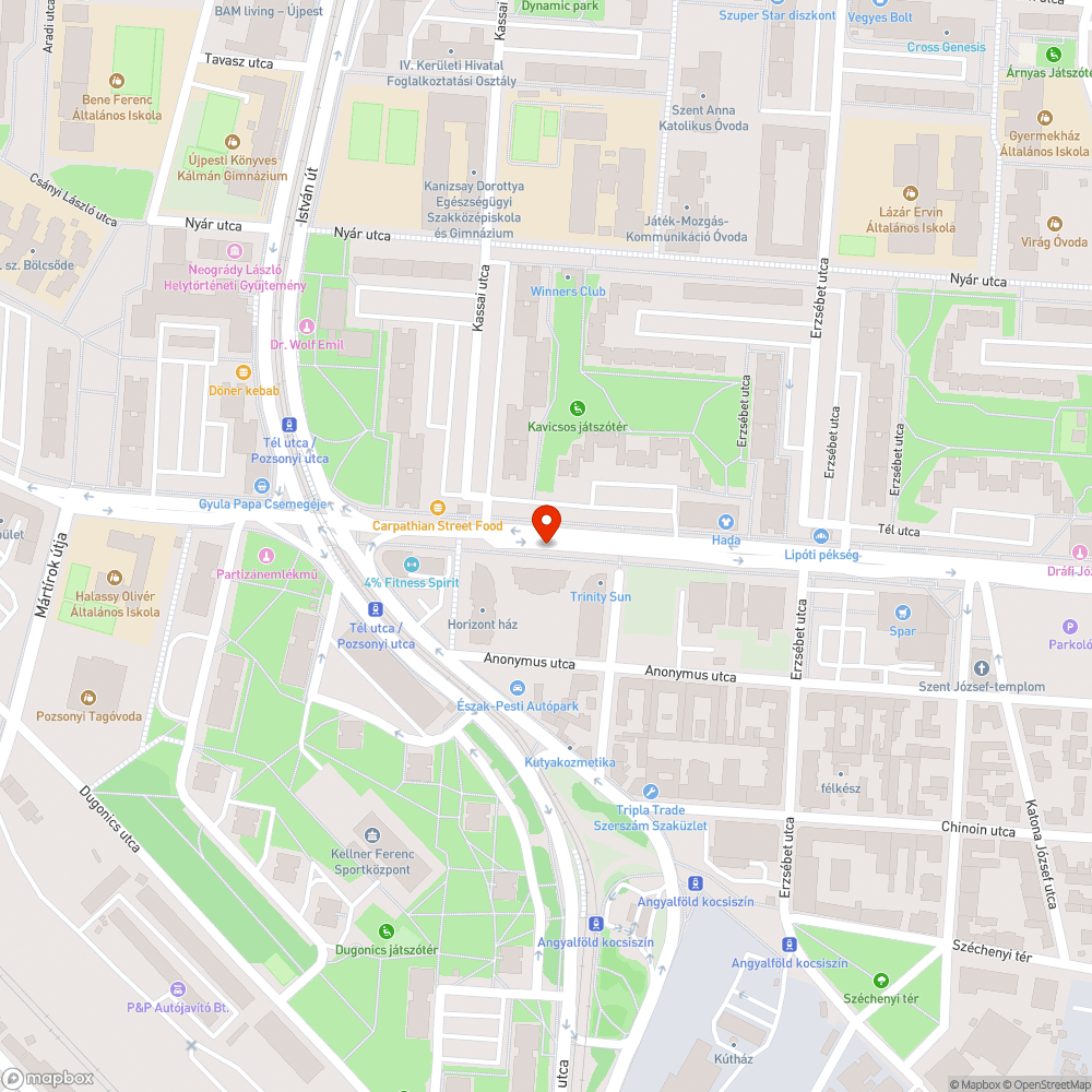 Haldokló fák - Tél utca bejelentés helye