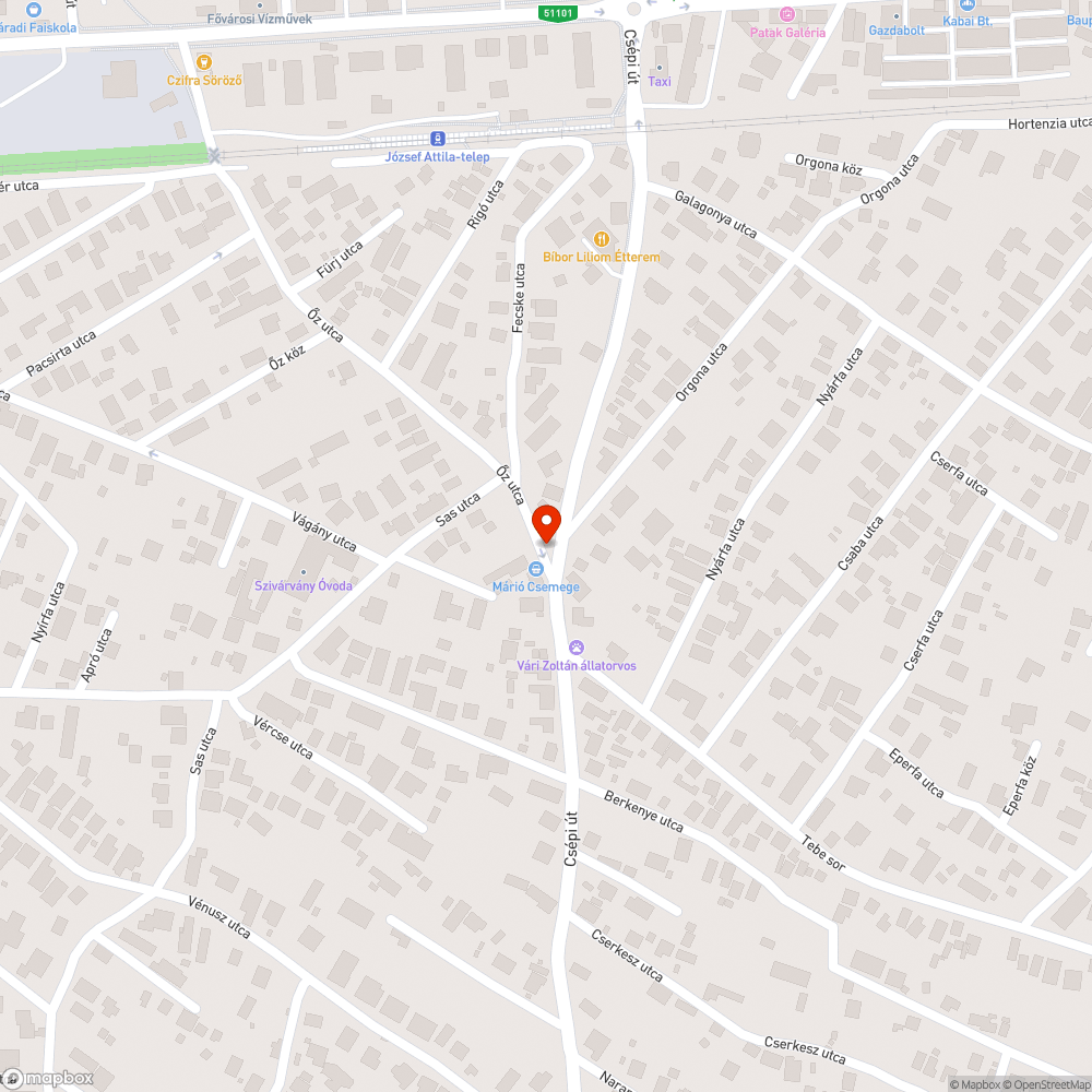 Kiszáradt park. Gazos árok bejelentés helye