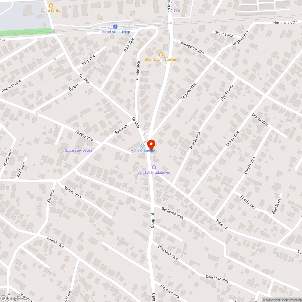 Kavicsos, homokos felrakódás a járdán bejelentés helye