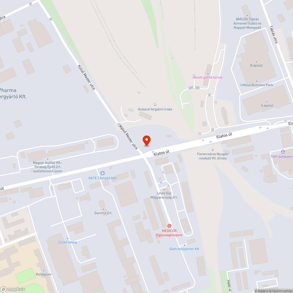 Szemét és gaz a járdán bejelentés helye