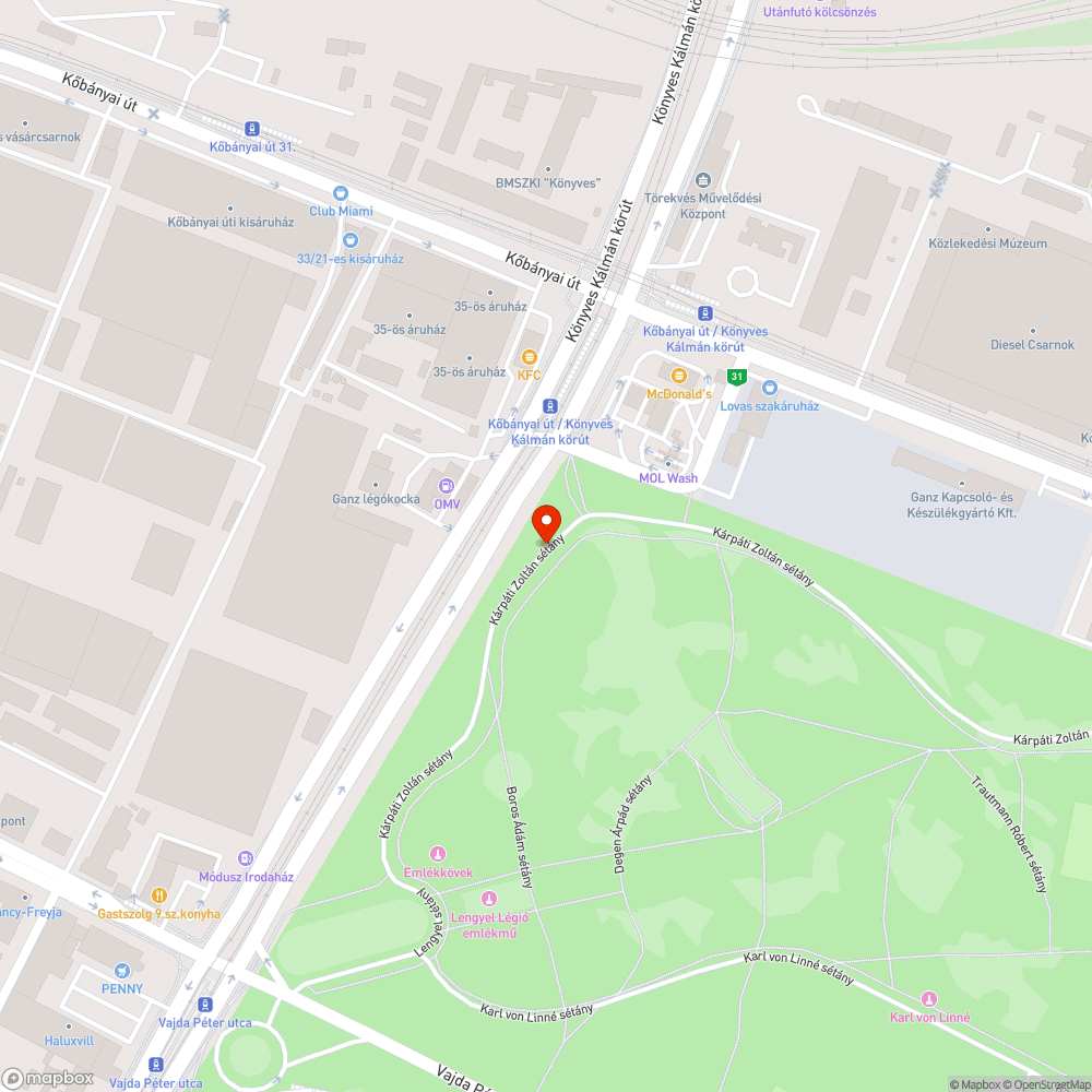 Úthiba a Népligetben fő kerékpáros útvonalon bejelentés helye