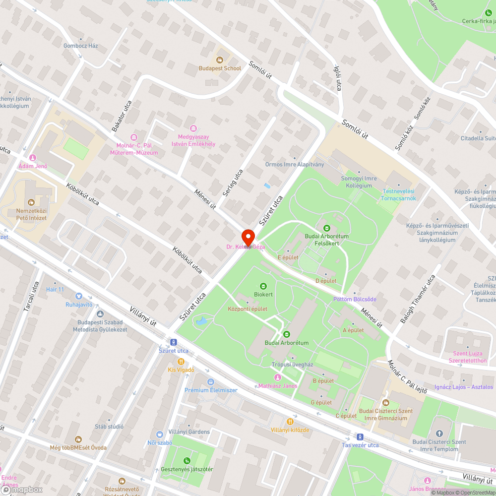 Ménesi út buszmegálló körül szennyezett járda bejelentés helye