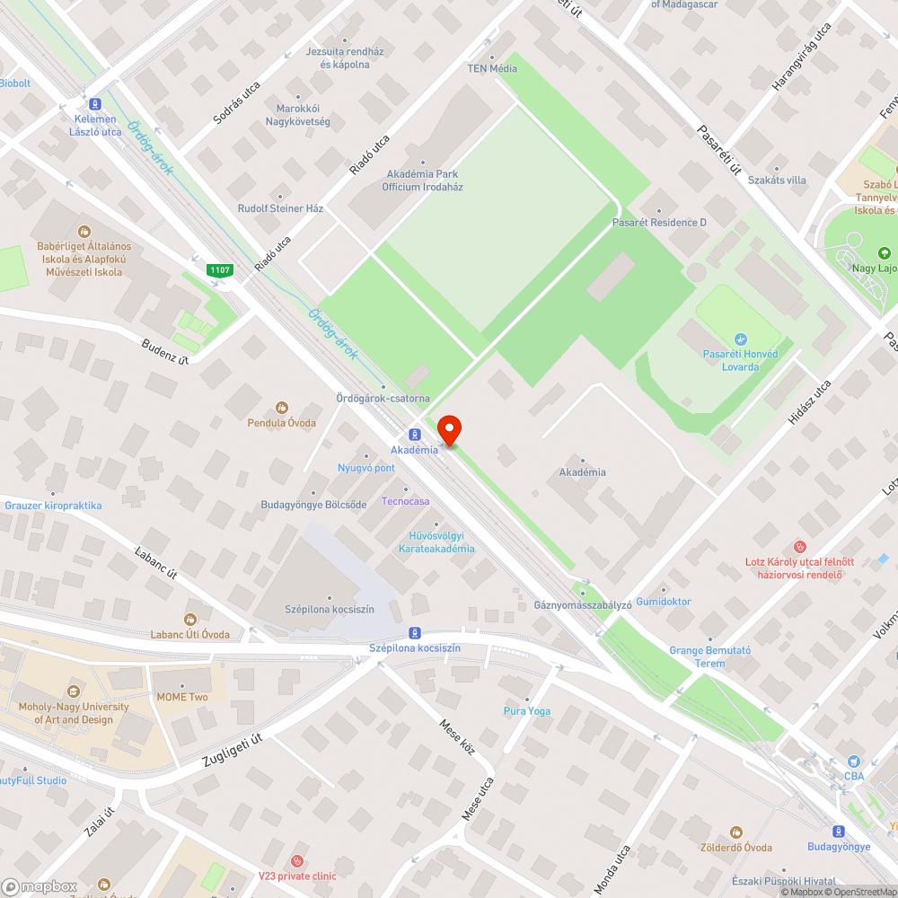 Gondozatlan zöldfelületek bejelentés helye