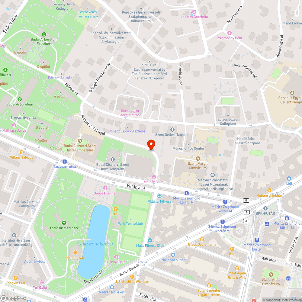 Benőtt járda a Gellért-hegy oldalában bejelentés helye