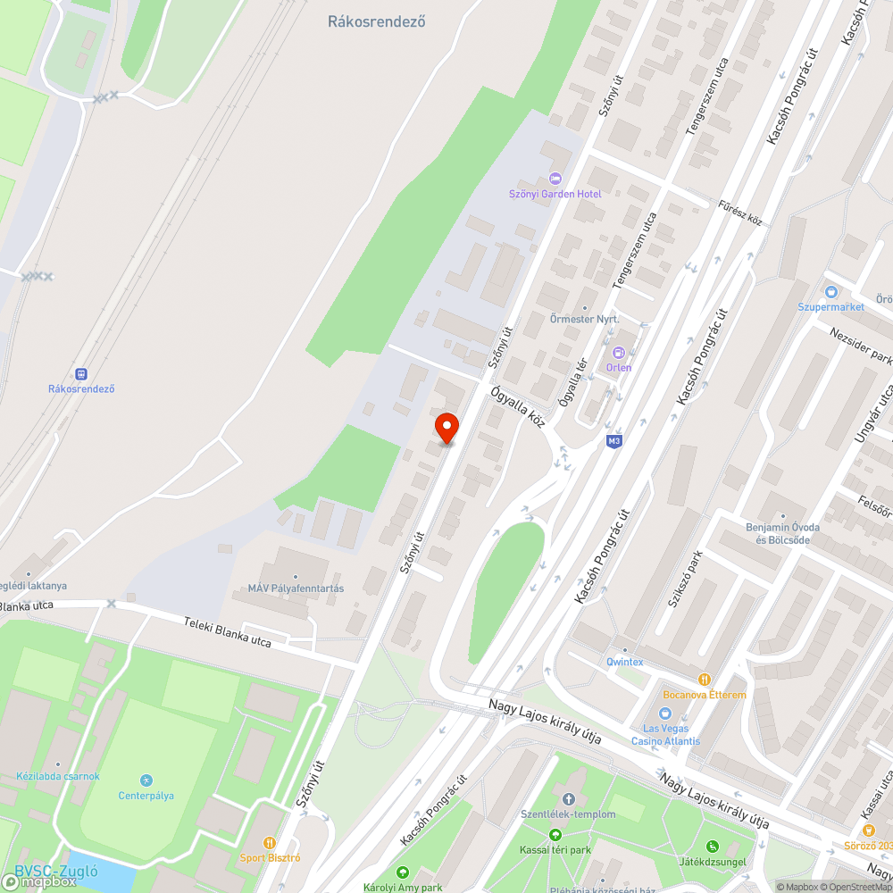 Kiszáradt fa bejelentés helye