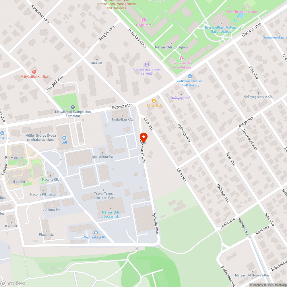 Gaz, parlagfű a nemrég átadott fásított utcában bejelentés helye