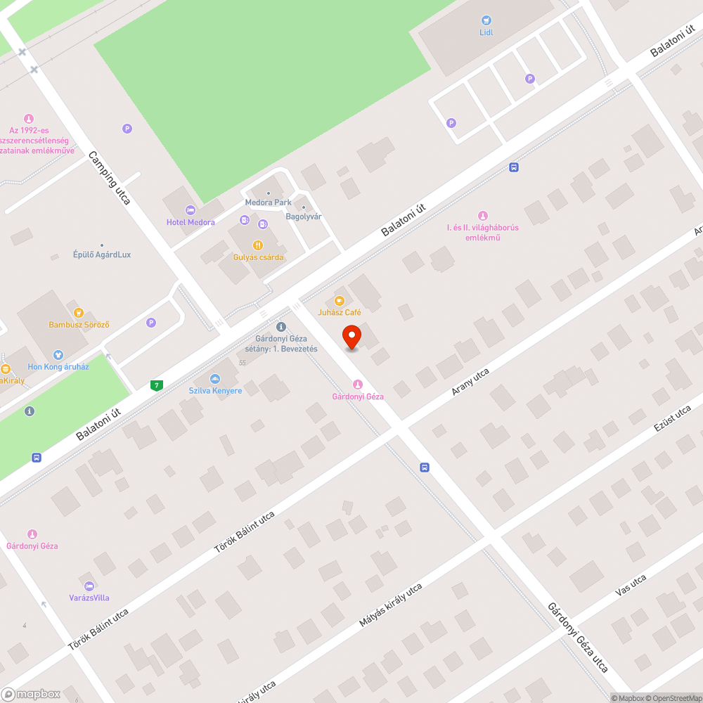 Gárdonyi Gáza utca elején nem ég egy közvilágítási lámpa bejelentés helye