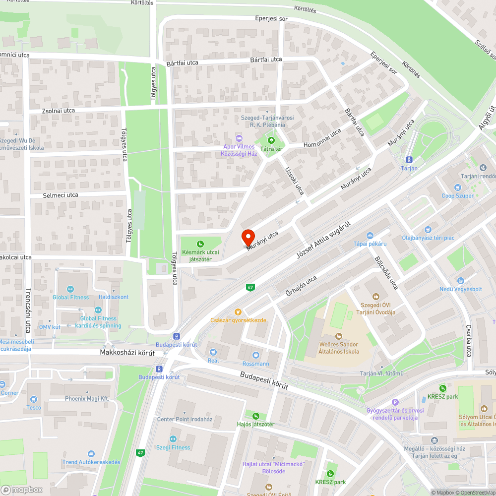 Kátyú a József Attila sgt. 142. mögött bejelentés helye