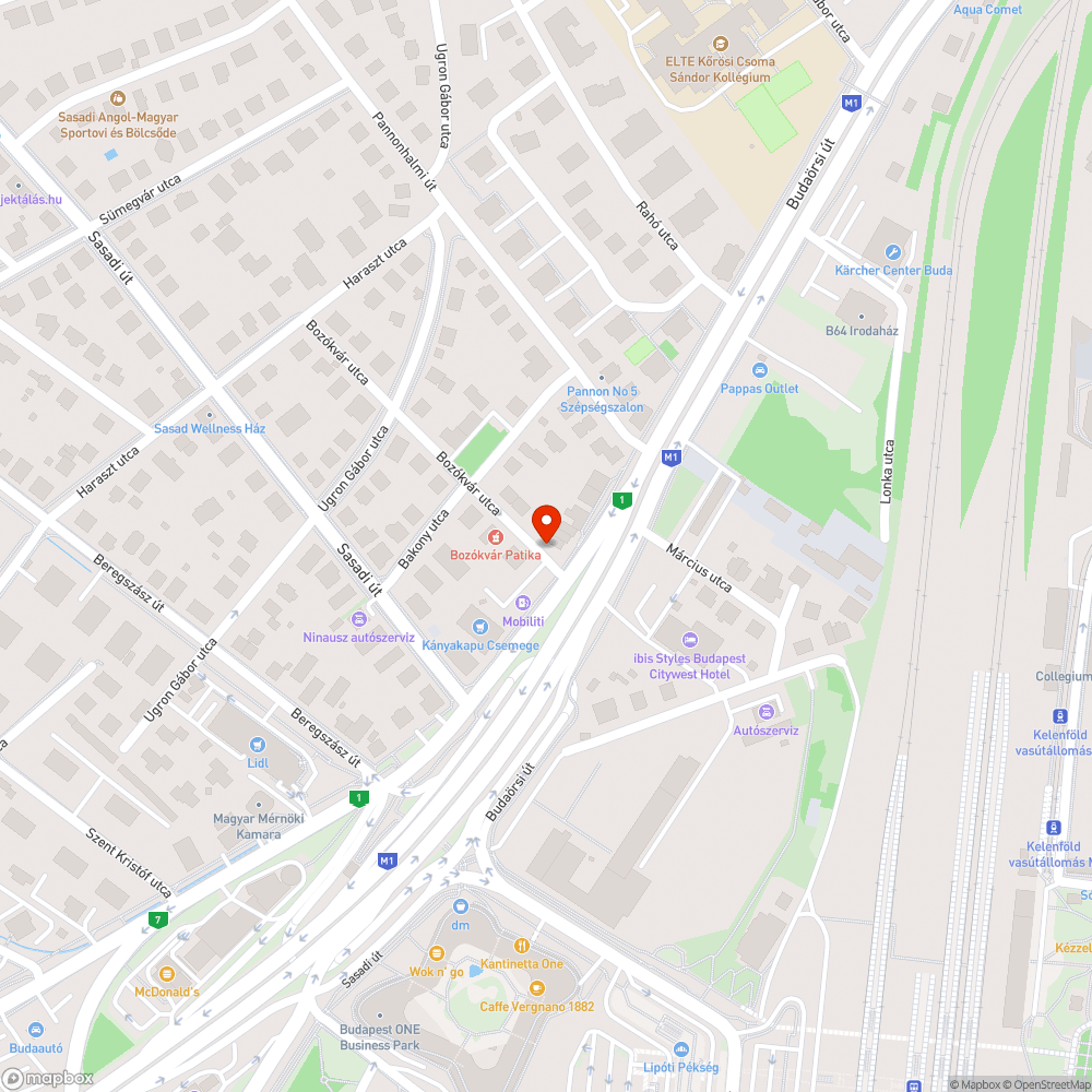 Bozókvár utca belógó fűzfa bejelentés helye