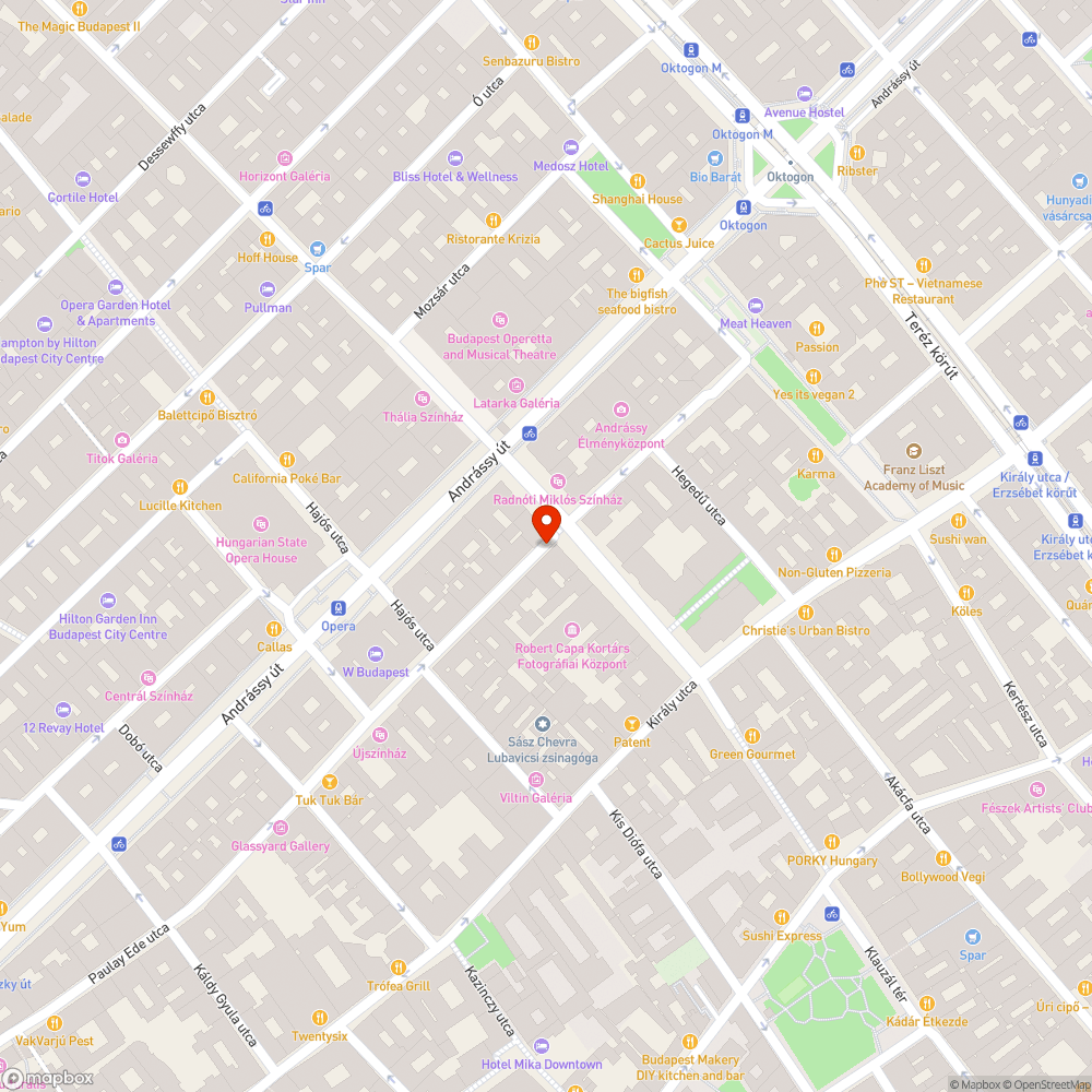 Patkány a Paulay Ede utcában bejelentés helye