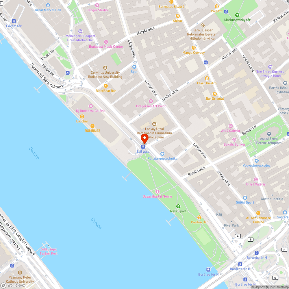 Zsil utca villamosmegállóban a borostyán kipusztulóban bejelentés helye