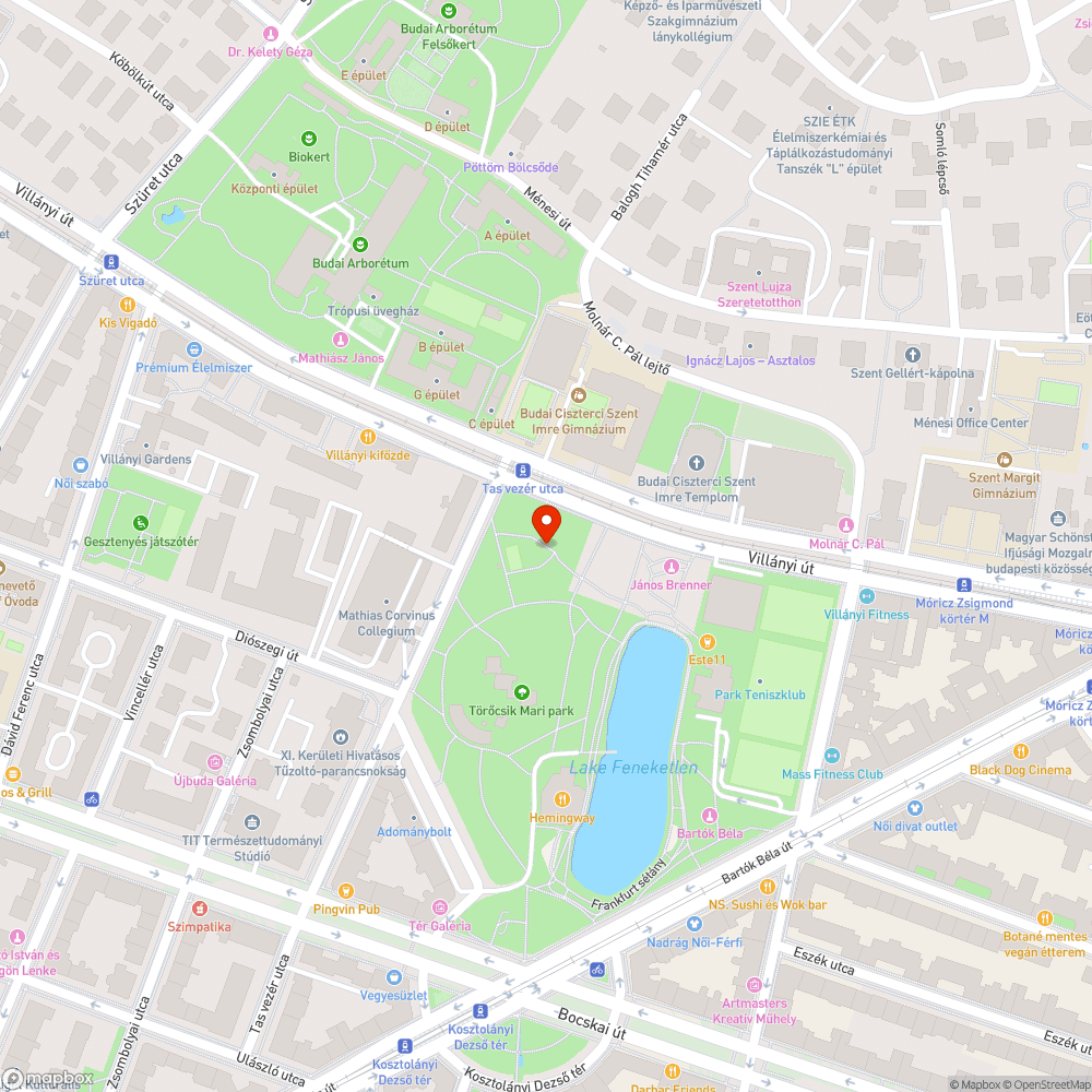 Feneketlen-tavi sivatagos játszótér bejelentés helye