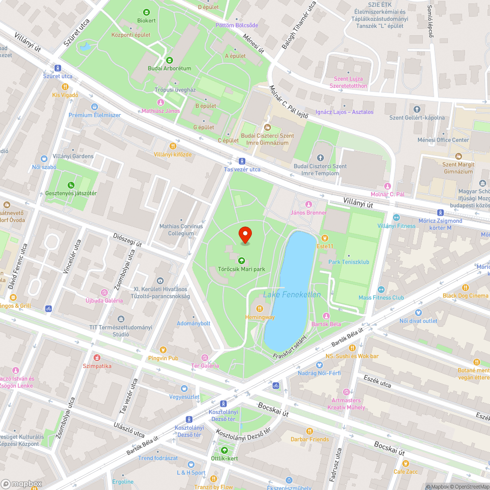 Feneketlen-tó, Törőcsik Mari park teli szemetesek bejelentés helye