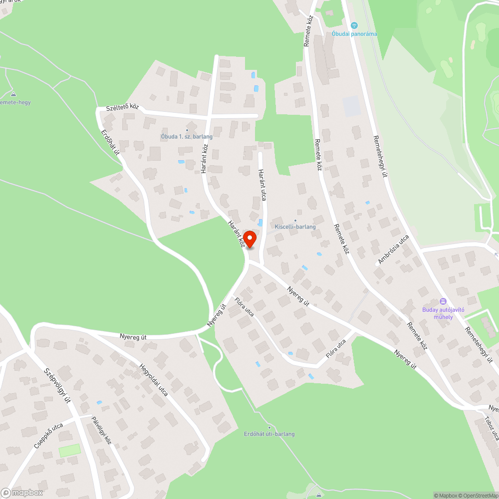 tükör tropa bejelentés helye