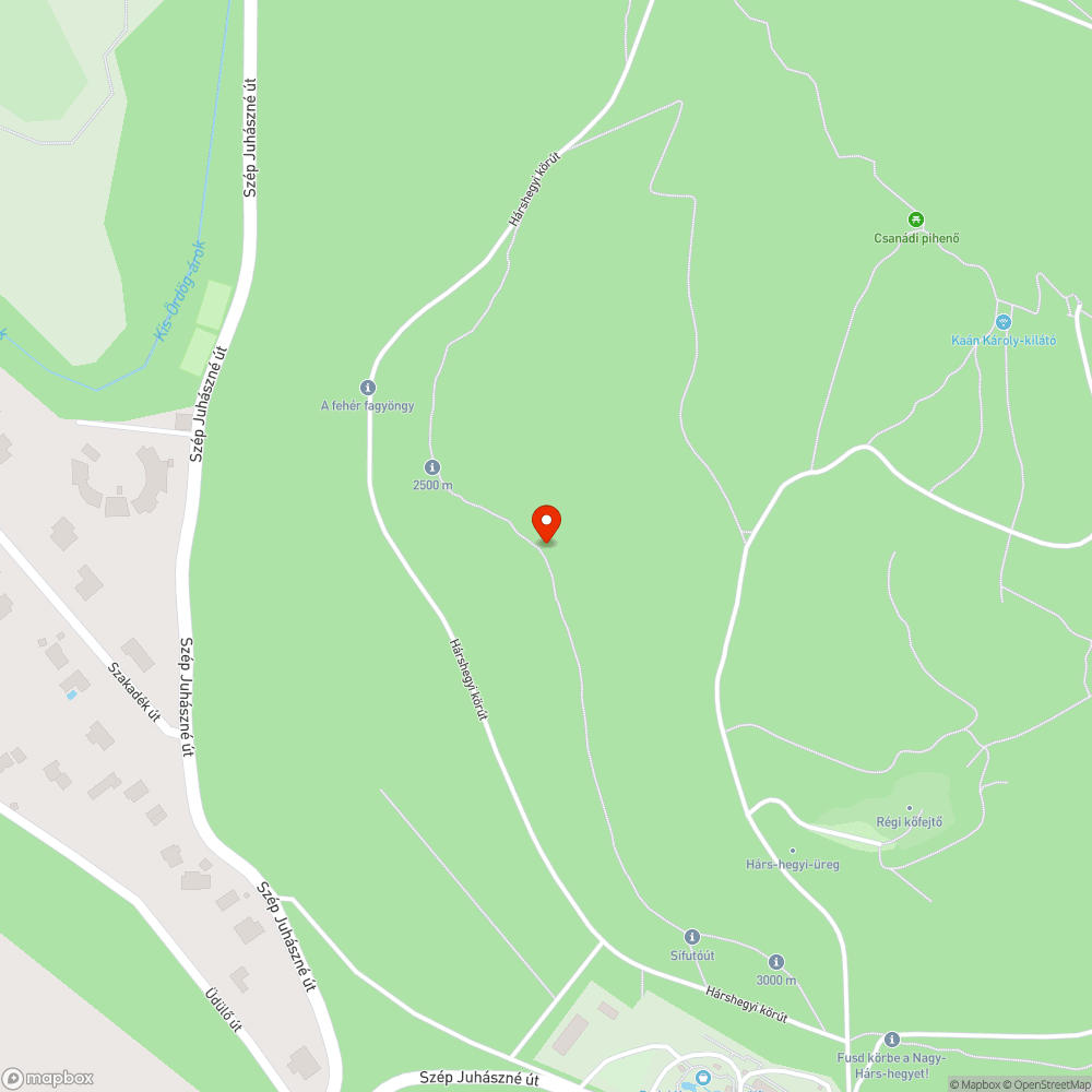 Kidőlt fa a Hárs-hegyi futókörön bejelentés helye