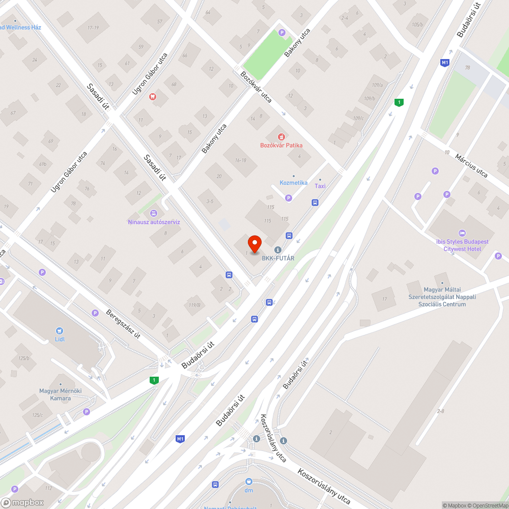 Budaörsi út 115-117. előtti szemét bejelentés helye