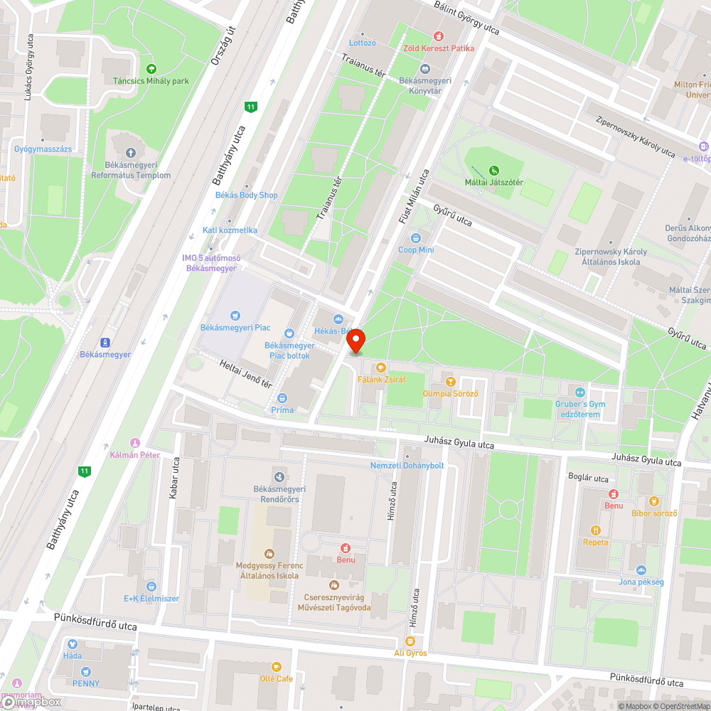 Leszakadt faág bejelentés helye