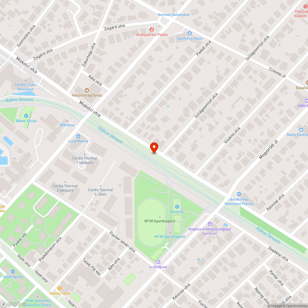 Kutyafuttató problémái bejelentés helye