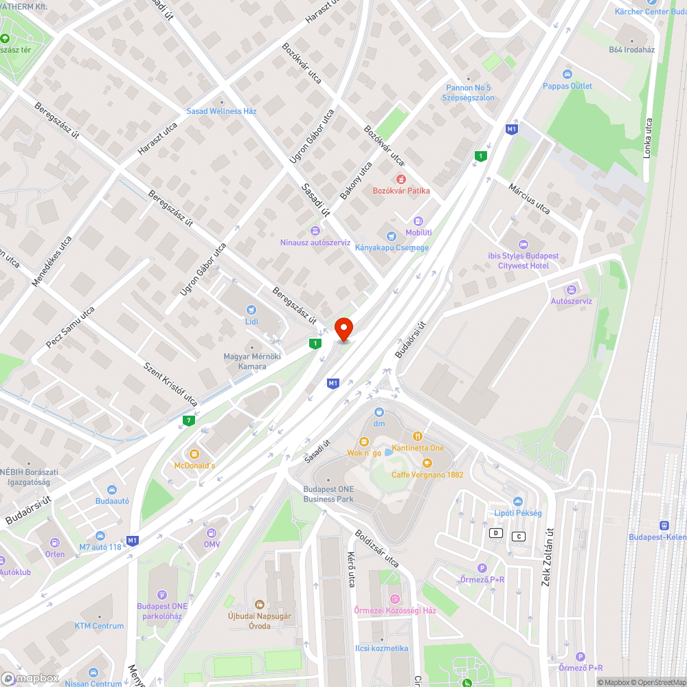 Kiszáradt bokrok Budaörsi - Beregszász gyalogos aluljáró bejelentés helye