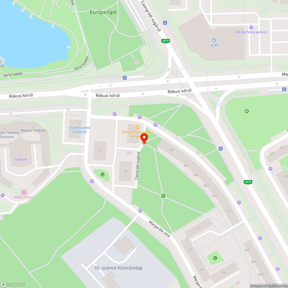 Szőnyegporoló maradványok - Congrádi sgt. 100. bejelentés helye