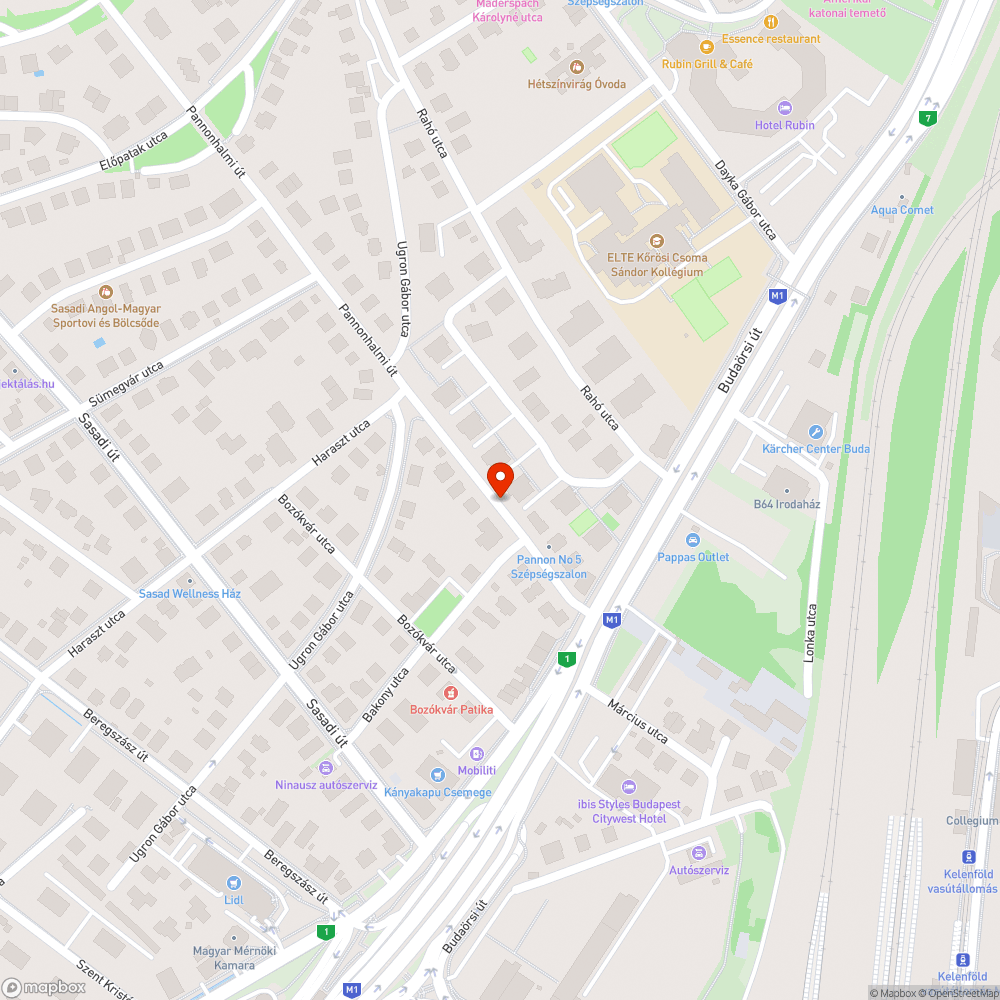 Pannonhalmi út kő és faág a járdán bejelentés helye