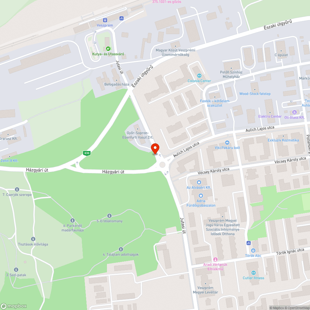 Kátyús, fűvel benőtt járda; nagy lejtő bejelentés helye